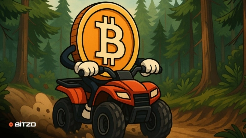 Bitcoin Price Analysis: BTC Trades Around $113,500, Struggles To Build Momentum