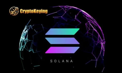Begin a fresh journey in cloud mining with SOLANA and DOGE - effortlessly earn $1000 daily