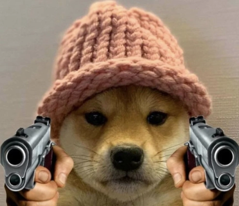 Best Cryptocurrencies to Invest in Now? Dogwifhat and Official Trump Meme Coin Forecast