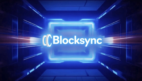 Get Ready for Meme Coin Frenzy: Let Blocksync Manage Your Presale and Custom Smart Contracts for 2025