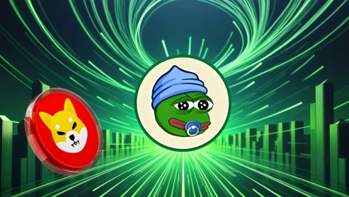 Predicting the Cryptocurrency Surge: Shiba Inu and Little Pepe's Race to the Top