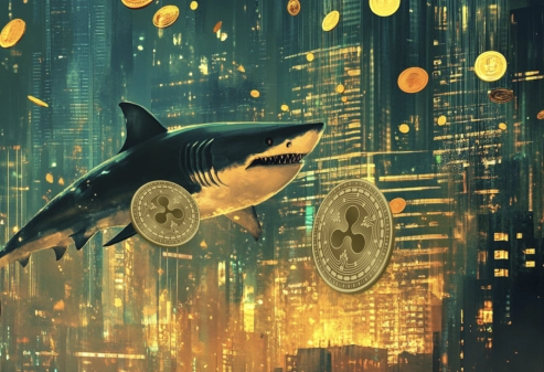 Ripple Price Prediction: Will XRP Reach $50? Investors Are Turning to This XRP Competitor