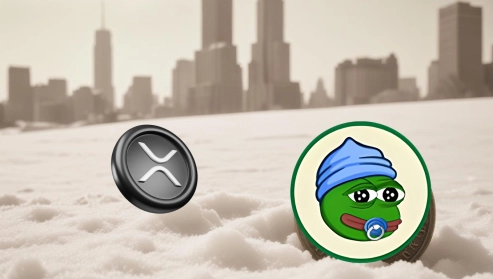 The Excitement Around Little Pepe: A Look at the Newest Meme Coin Phenomenon