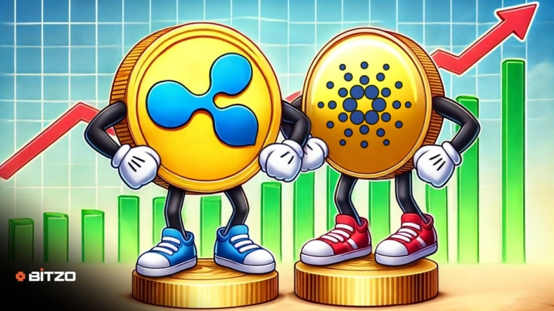 XRP and ADA Test Key Support Levels - Find Out Why Mid-term Investors Are Accumulating Cardano and XRP